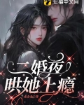 二婚夜，哄她上瘾