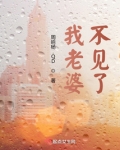 我老婆不见了