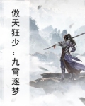 傲天狂少：九霄逐梦