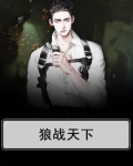 狼战天下