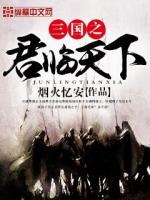 三国之君临天下