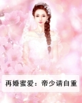 再婚蜜爱:帝少请自重