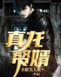 真龙赘婿