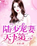 陆少宠妻天下第一