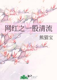 网红之一股清流全文免费阅读