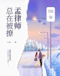 孟律师总在被撩