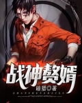 战神赘婿