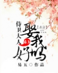 侍卫大人,娶我好吗