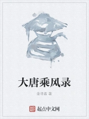 大唐乘风录