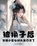 穿越医女小手挥，裙下全国排排跪