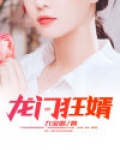 龙门狂婿