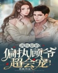 闪婚后，我被偏执霍爷宠上天