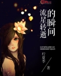 流星转逝的瞬间