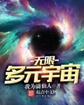 无限多元宇宙