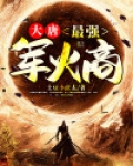 大唐：最强军火商