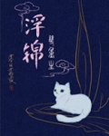 浮锦