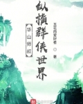 华山师叔,纵横群侠世界