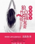 婚情撩人:狼性总裁娇宠妻