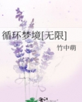 循环梦境[无限]