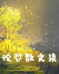 论哲散文集