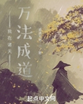 我在诸天万法成道