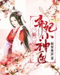 一胎二宝：弃妃小神医