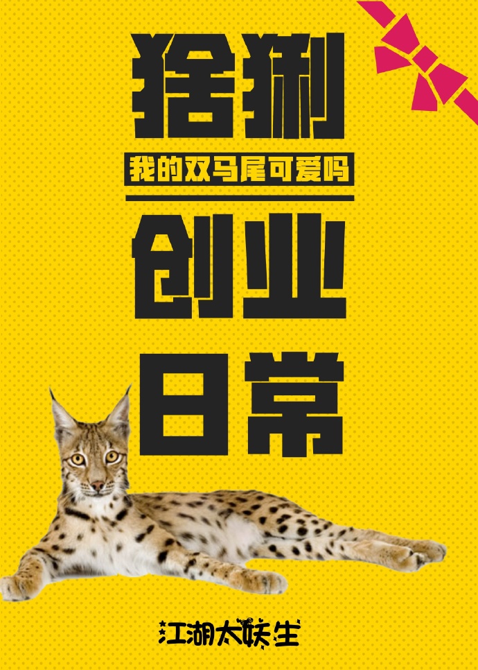 猞猁创业日常百度云
